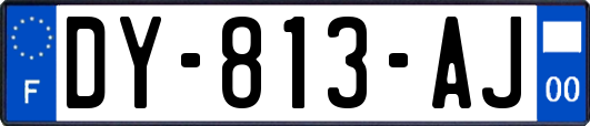 DY-813-AJ