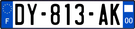 DY-813-AK