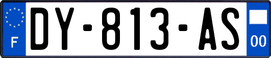 DY-813-AS