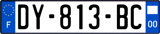 DY-813-BC