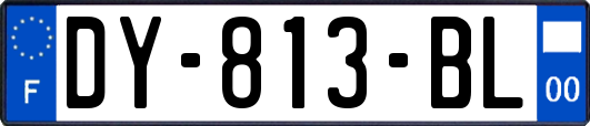 DY-813-BL