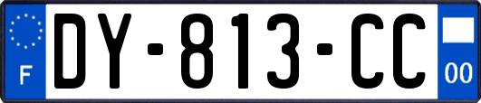 DY-813-CC
