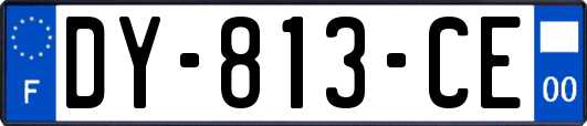 DY-813-CE