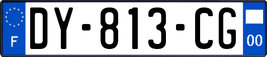 DY-813-CG