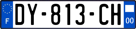 DY-813-CH