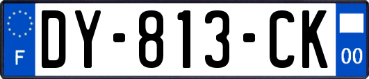 DY-813-CK