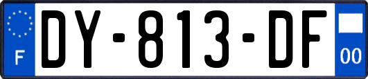 DY-813-DF
