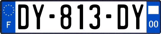 DY-813-DY