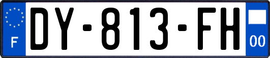 DY-813-FH