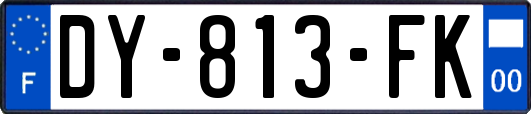 DY-813-FK