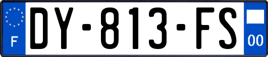 DY-813-FS