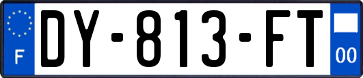 DY-813-FT