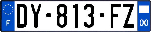 DY-813-FZ