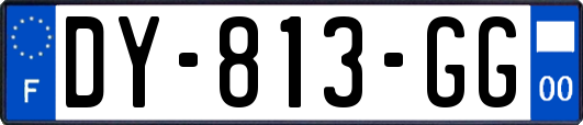 DY-813-GG