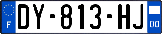 DY-813-HJ