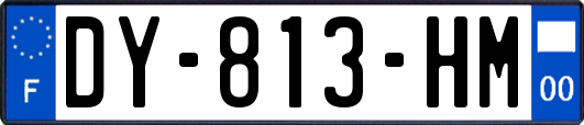 DY-813-HM