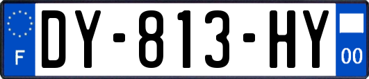 DY-813-HY