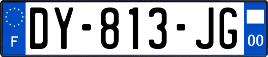 DY-813-JG