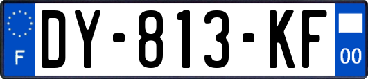 DY-813-KF