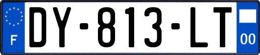 DY-813-LT