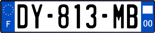 DY-813-MB