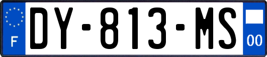 DY-813-MS