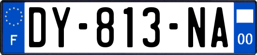 DY-813-NA