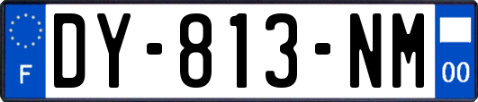DY-813-NM
