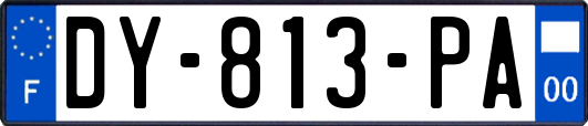 DY-813-PA