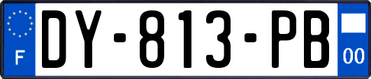 DY-813-PB