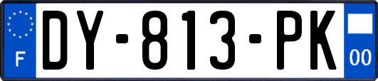 DY-813-PK