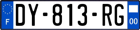 DY-813-RG