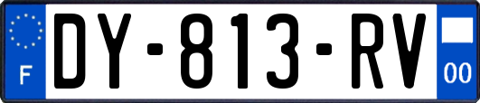 DY-813-RV