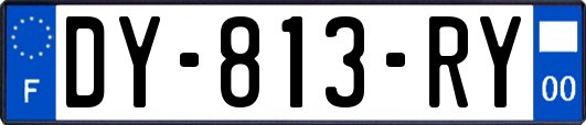 DY-813-RY