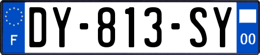 DY-813-SY