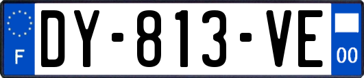 DY-813-VE