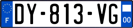 DY-813-VG