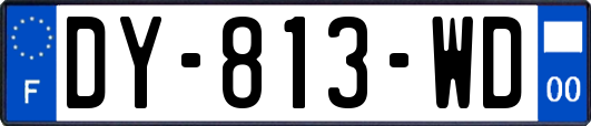 DY-813-WD