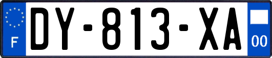 DY-813-XA