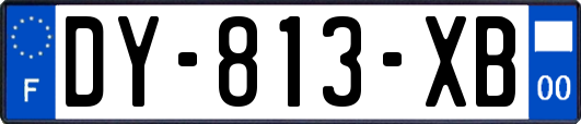 DY-813-XB