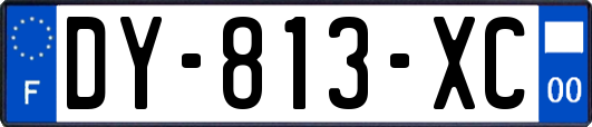 DY-813-XC