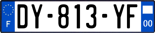 DY-813-YF