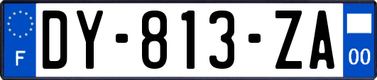 DY-813-ZA