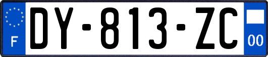 DY-813-ZC