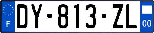 DY-813-ZL