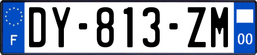 DY-813-ZM