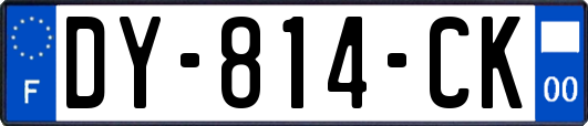 DY-814-CK