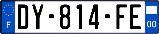DY-814-FE