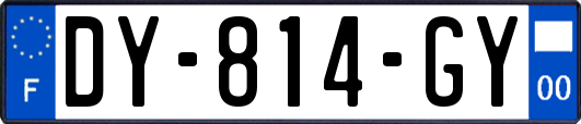 DY-814-GY