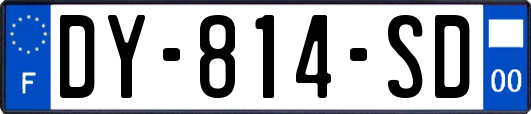 DY-814-SD